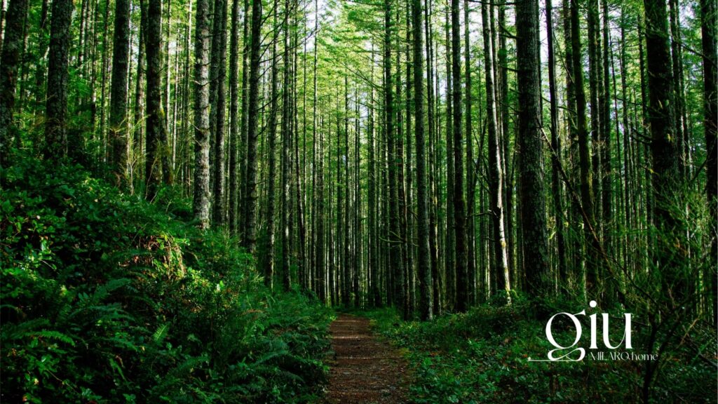 celuloza drzewna w pikowanym pokrowcu